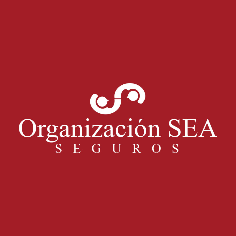 Organización SEA Seguros